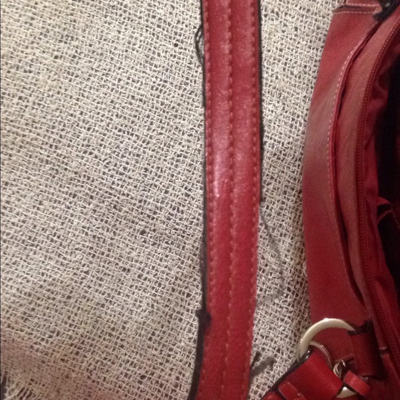 Giani Bernini - Picture 8 of 8